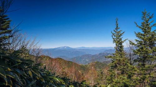 這份產品質量國抽公告,揭開家電價格戰的惡果和真相